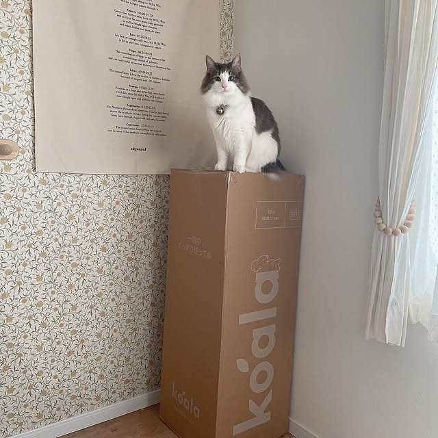 uさんの実例写真