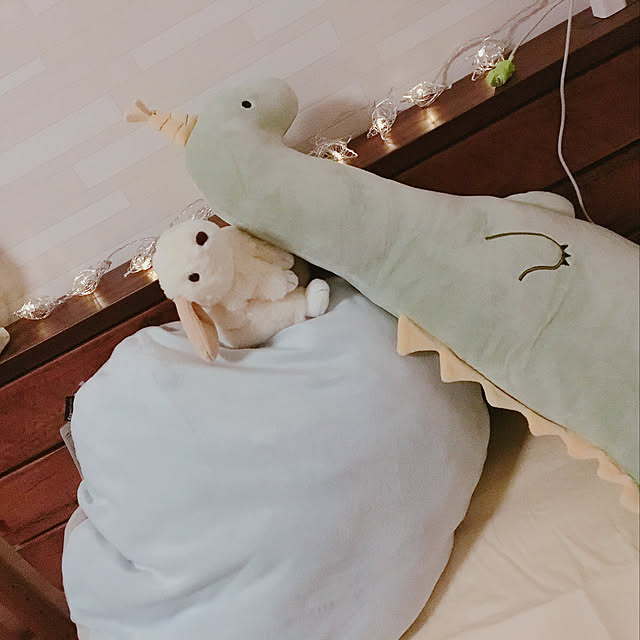 ayaさんの実例写真