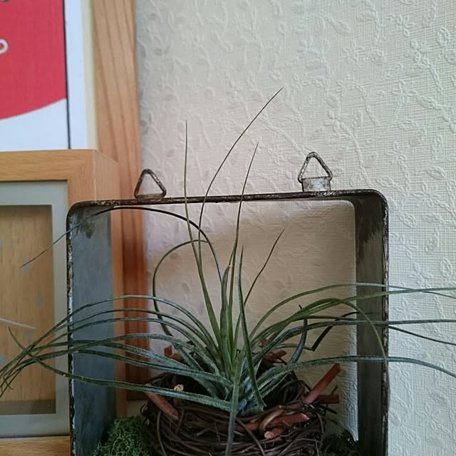 keitai7301さんの実例写真