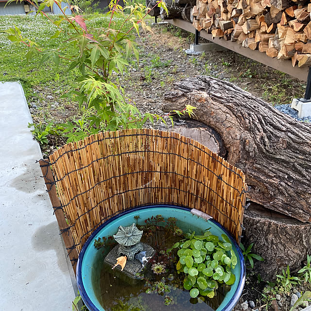 hachiさんの部屋
