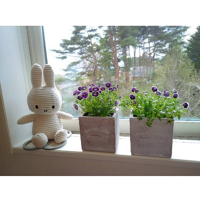 satoさんの実例写真