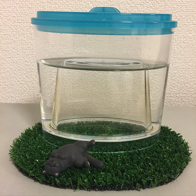 akkさんの実例写真