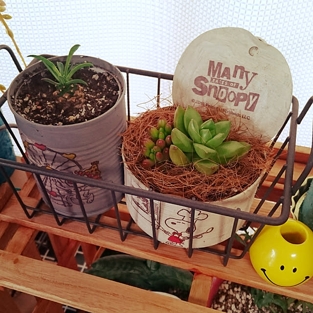 2menmamaさんの実例写真