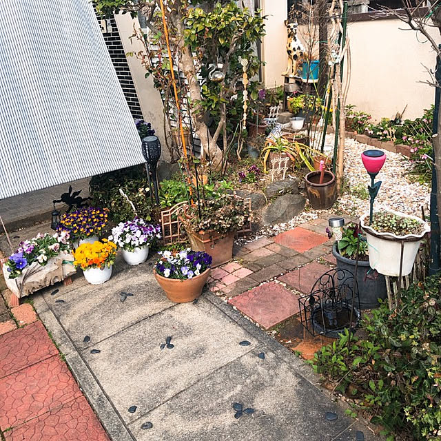 myuさんの実例写真