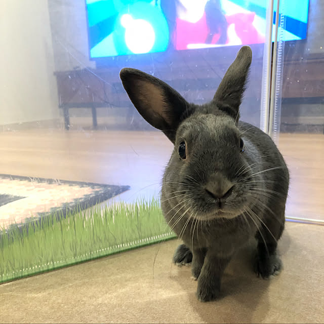 akiraさんの実例写真