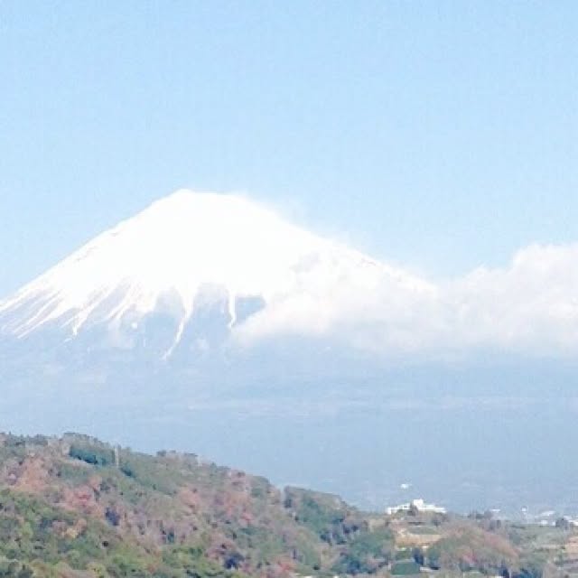 Akikoさんの実例写真