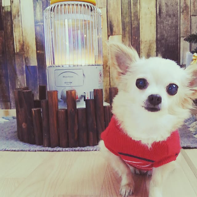 anny_minkさんの実例写真