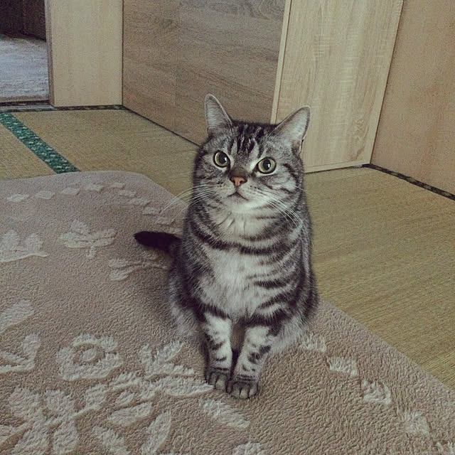 richanさんの実例写真