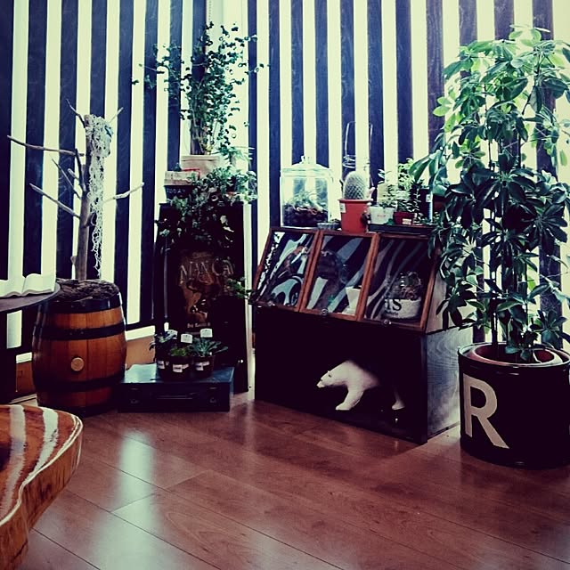 miccoさんの実例写真