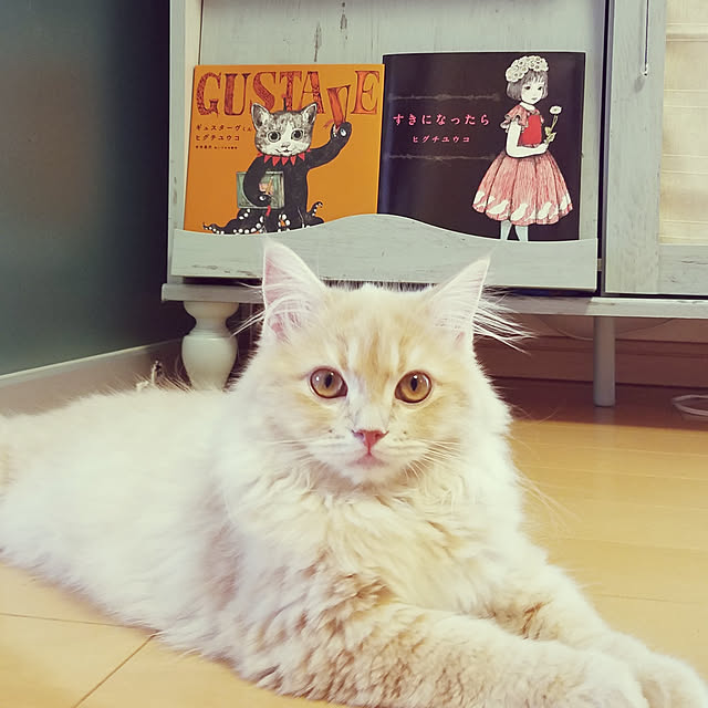 shimaさんの実例写真