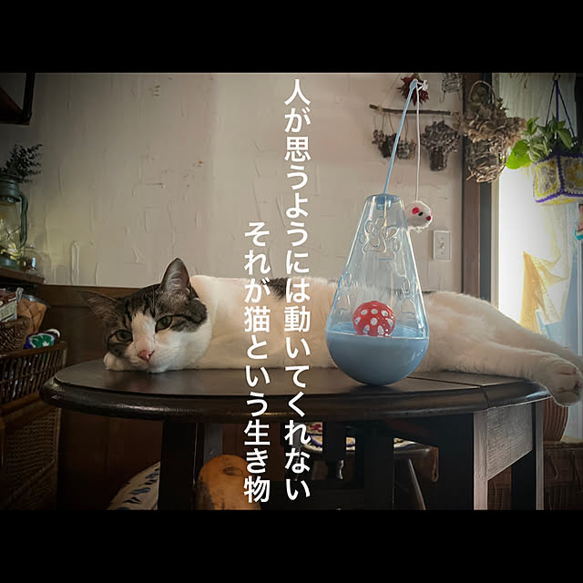 marusanさんの実例写真