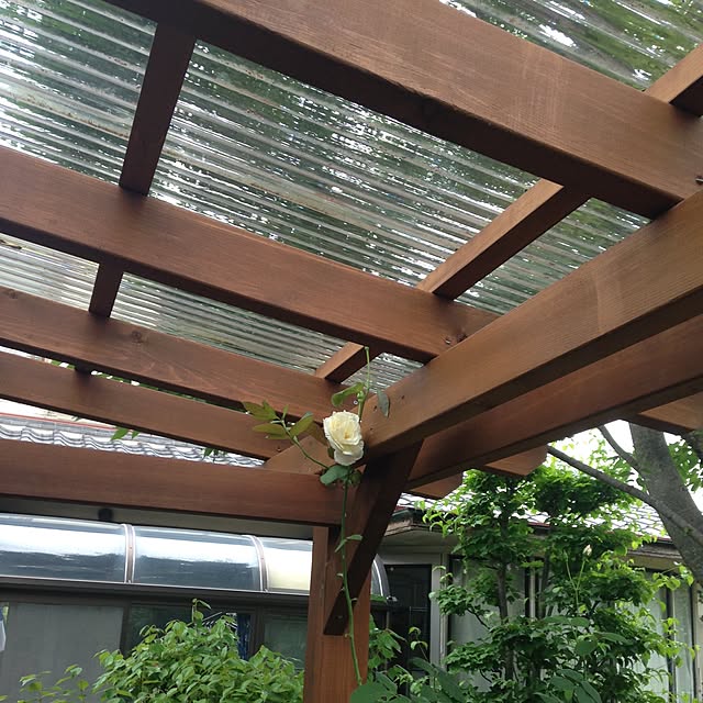 marie.tさんの実例写真