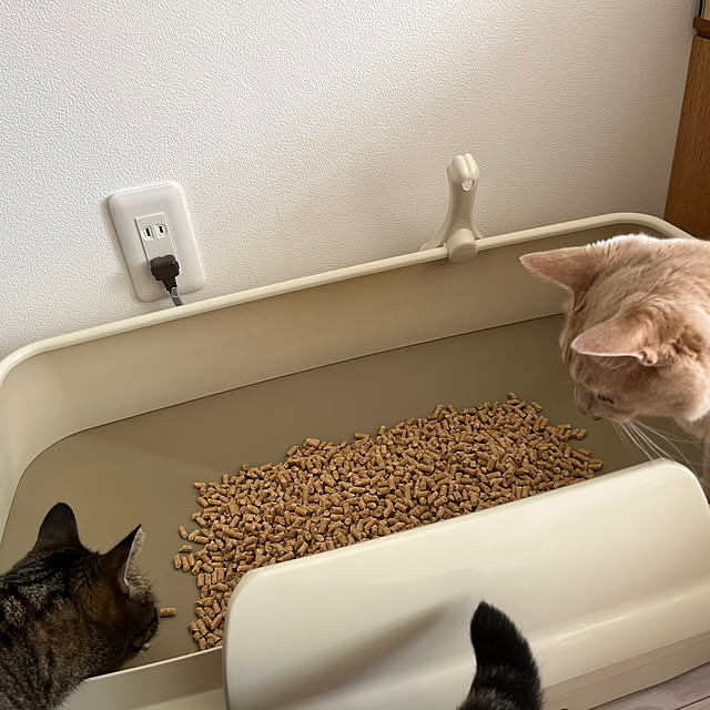 yococo_kurashiさんの実例写真