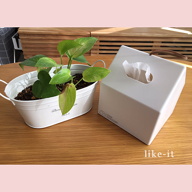 akezouさんの実例写真