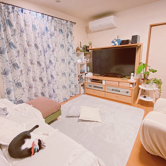 moolさんの実例写真