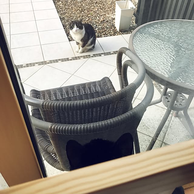 yuki0511さんの実例写真