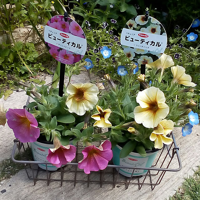 mariagardenさんの実例写真