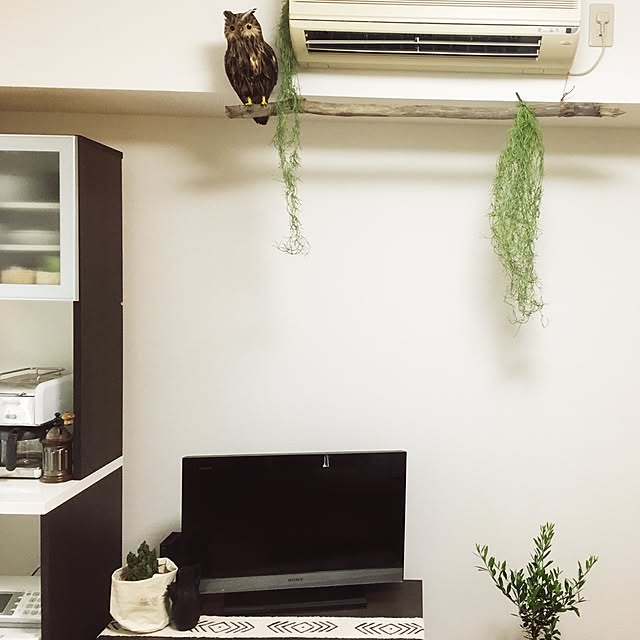 gurebekoさんの実例写真