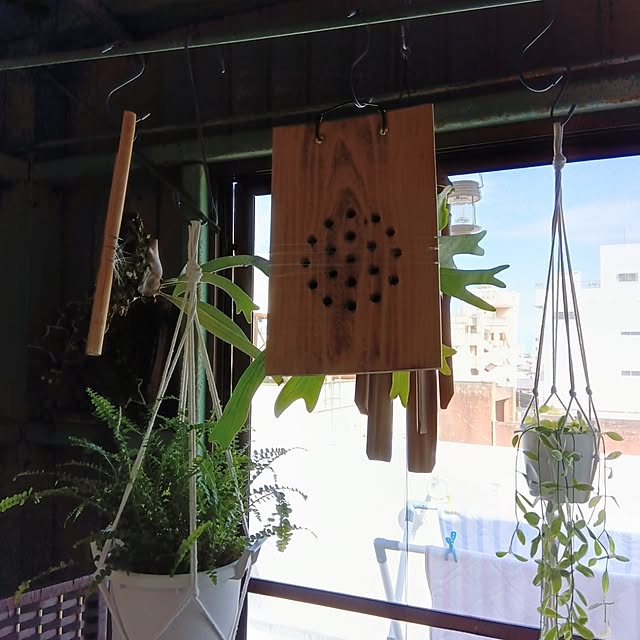 mikeさんの部屋