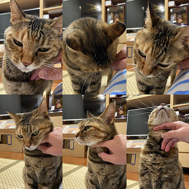 hansho.sさんの実例写真