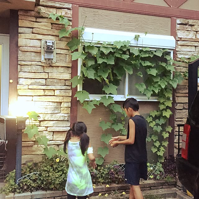 miki7895さんの実例写真
