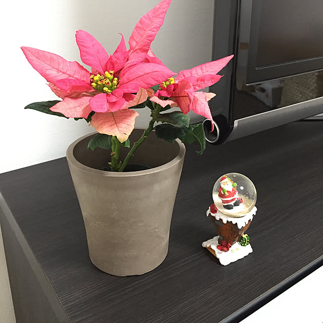 yukaさんの実例写真