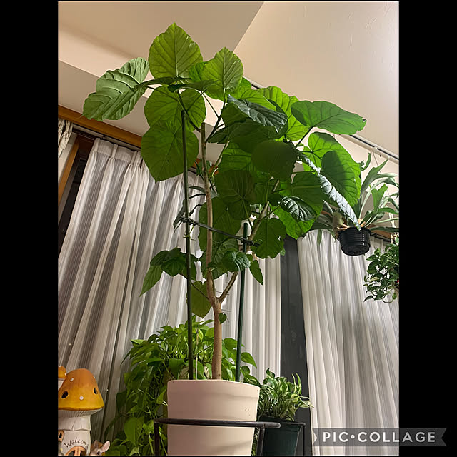 Aqettyさんの部屋