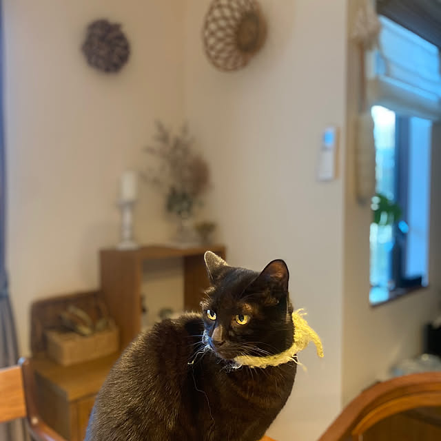 taakoさんの部屋