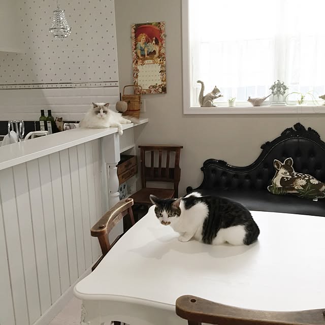 yuchiさんの実例写真