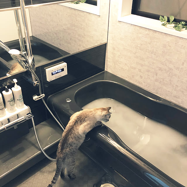 mieさんの実例写真