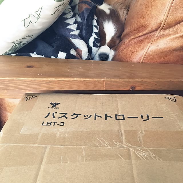 miyaさんの実例写真