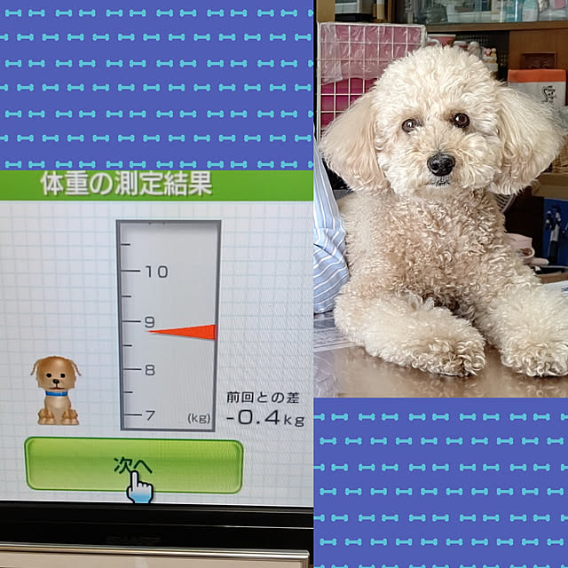 yumirinさんの実例写真