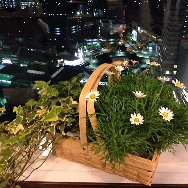 matchさんの実例写真