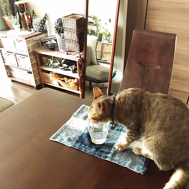 1633さんの実例写真