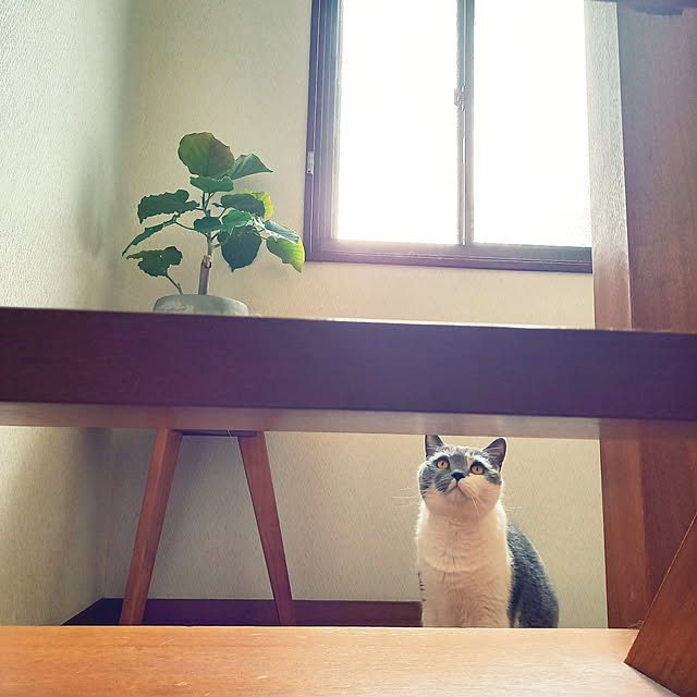 rhuさんの実例写真