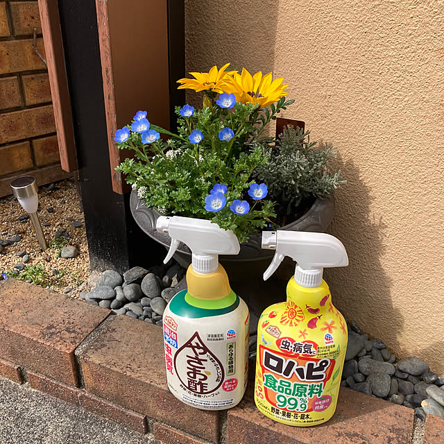 Omachanさんの実例写真