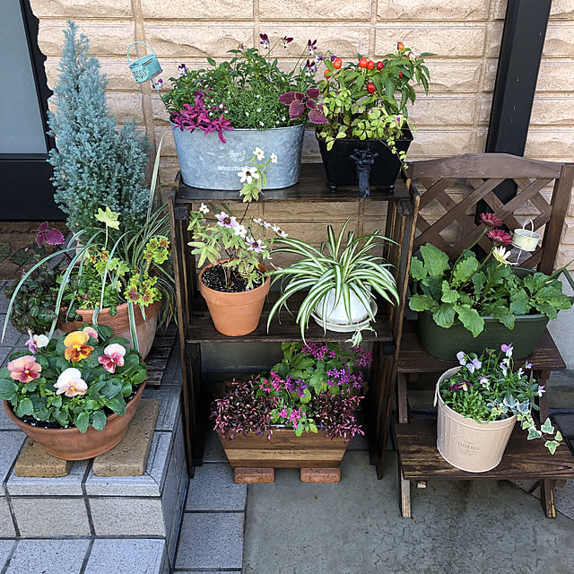 mocoさんの実例写真