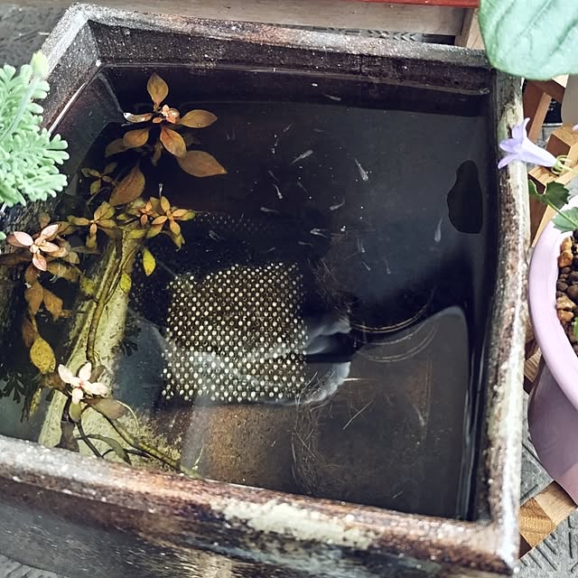 mi-saさんの部屋
