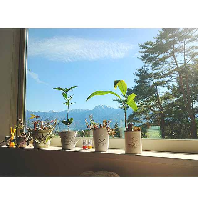 satoさんの実例写真