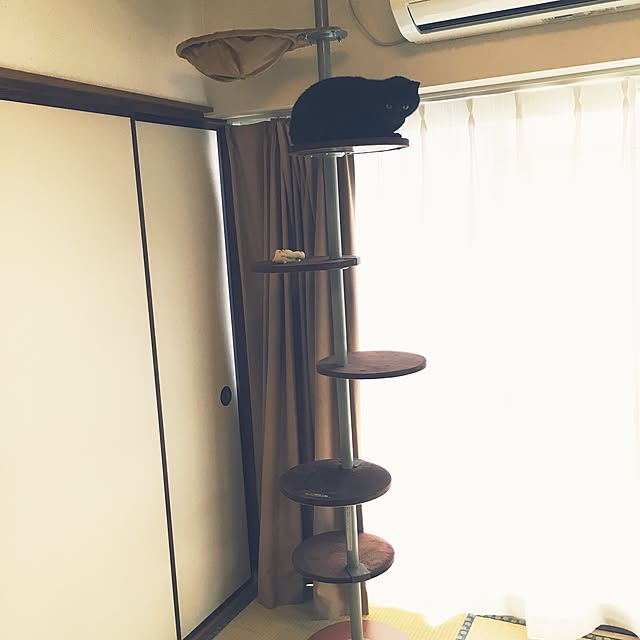 NTさんの実例写真