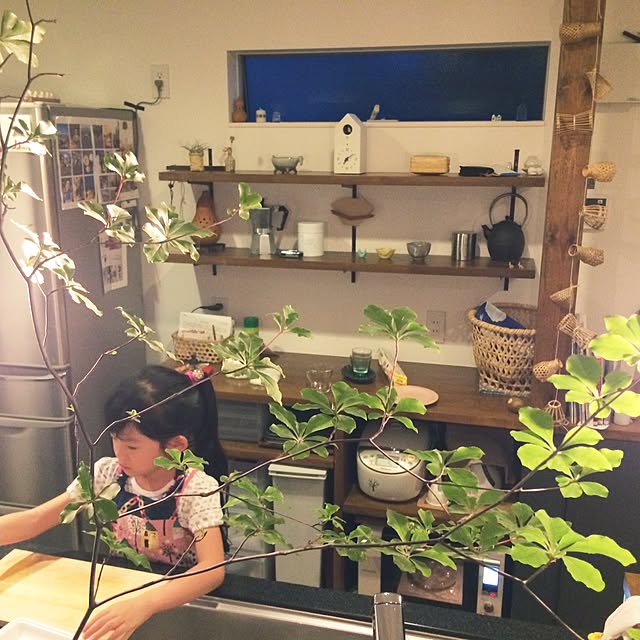 mikiさんの実例写真