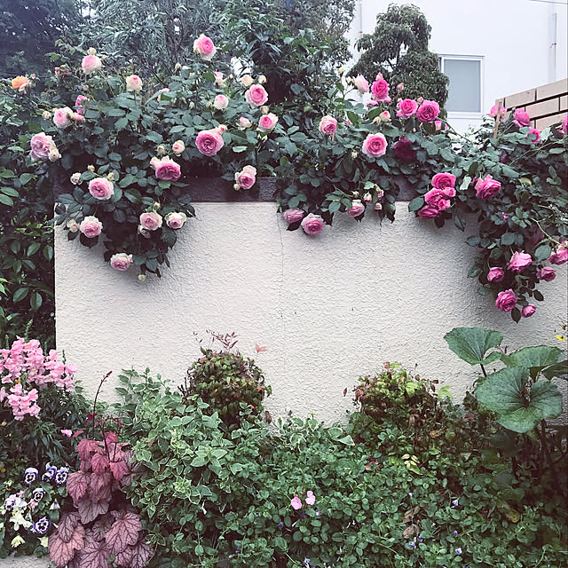 miwarinさんの実例写真