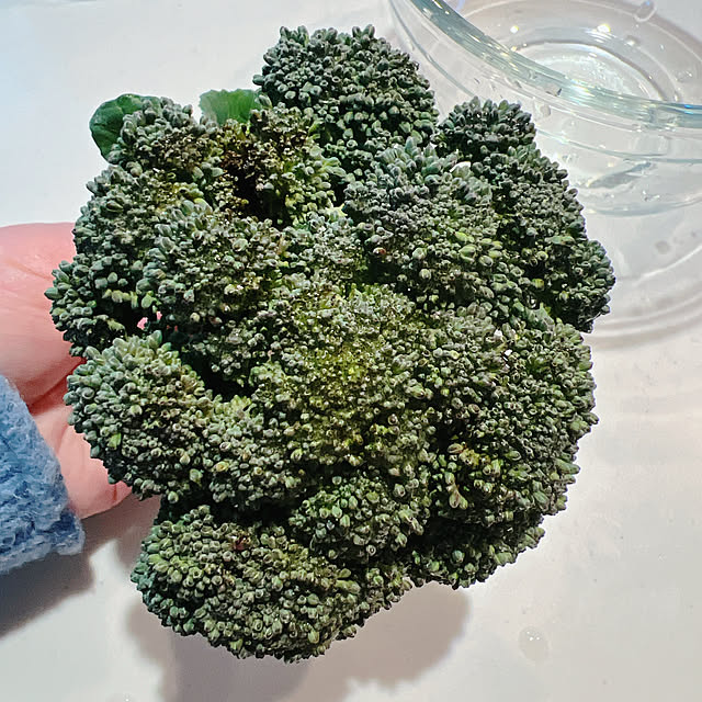 chanduさんの部屋