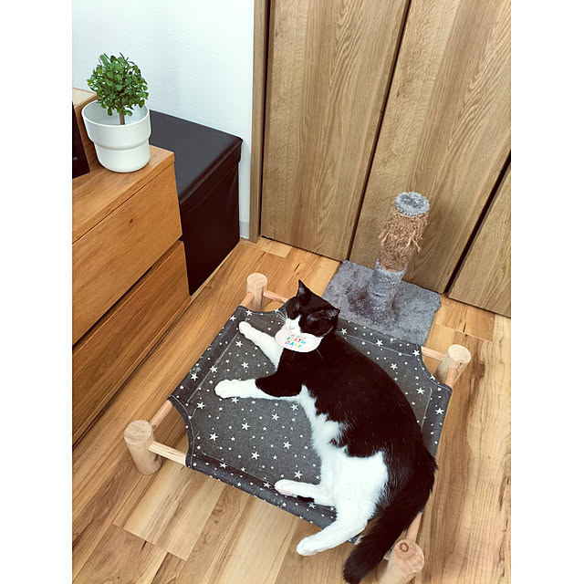 hihaさんの実例写真