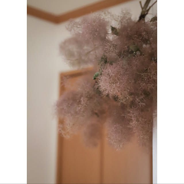 monika3103さんの実例写真