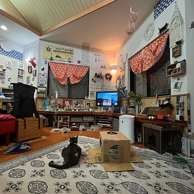 jijiさんの実例写真