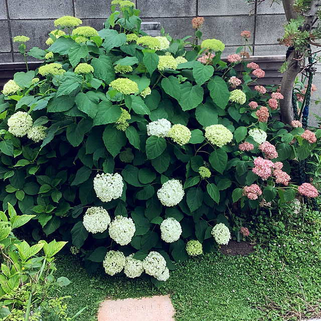 taeさんの部屋