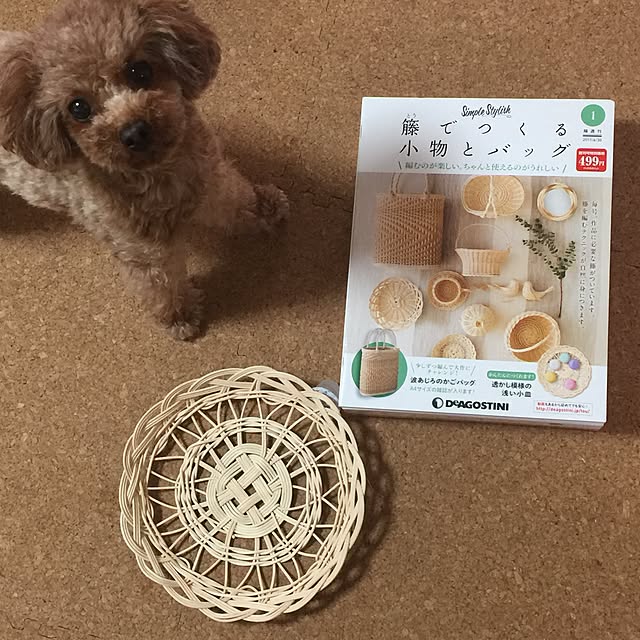 momonaさんの実例写真