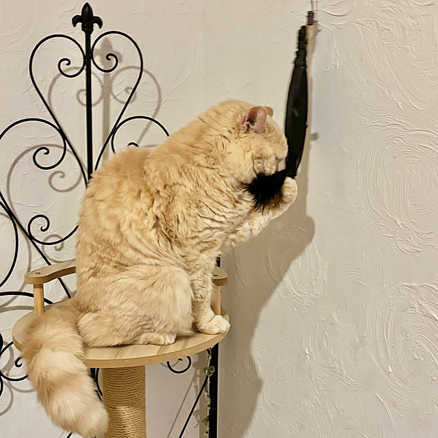 naokoさんの部屋