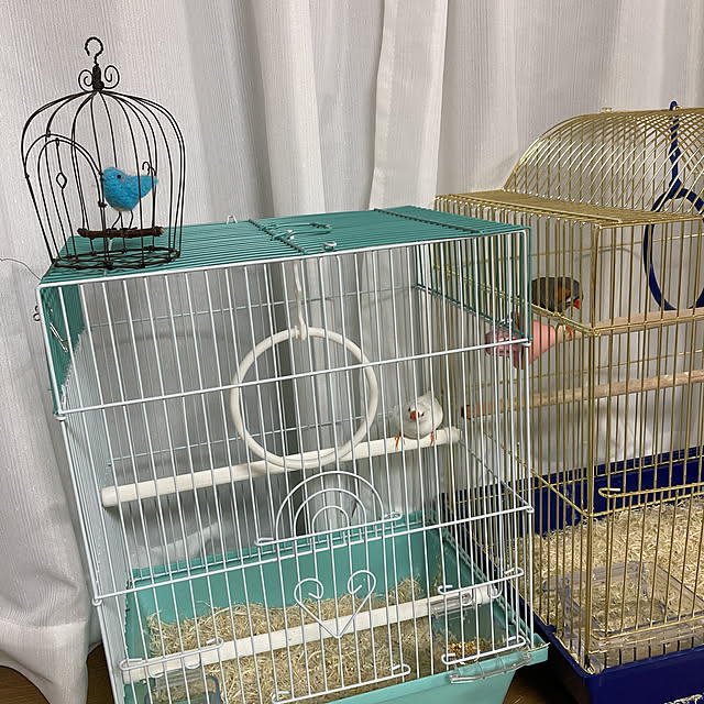 koroさんの実例写真